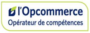 Logo opcommerce